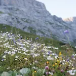 מלון Berghaus Sulzfluh Sankt Antönien