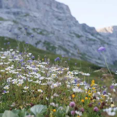 ホテル Berghaus Sulzfluh ザンクト・アンテーニーン