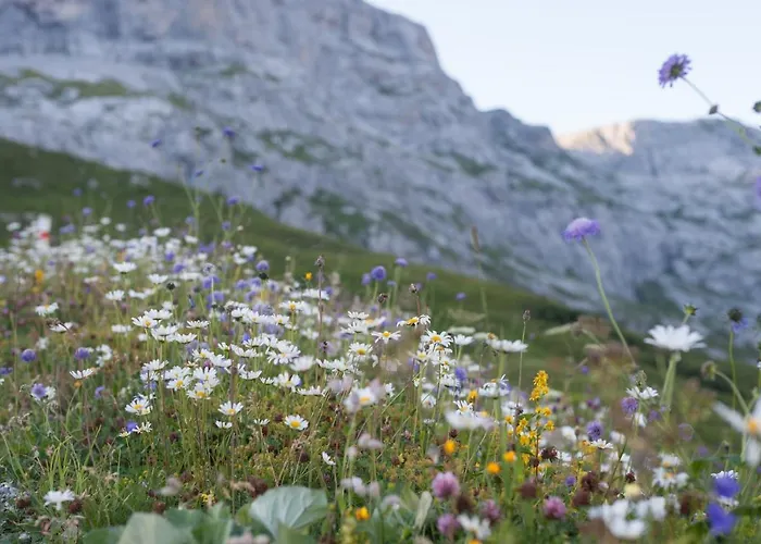 Hotel Berghaus Sulzfluh Sankt Antönien